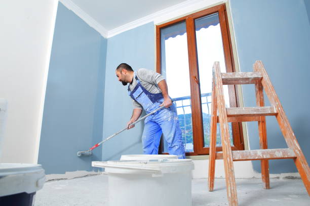 Limestone, IL Mold Removal Company
