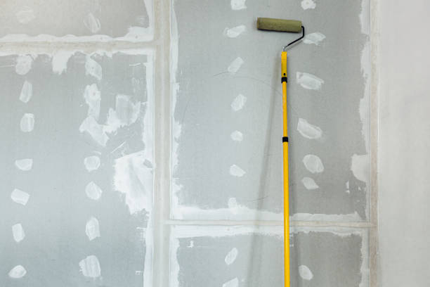 Best Mold-Related Health Consultation  in Limestone, IL
