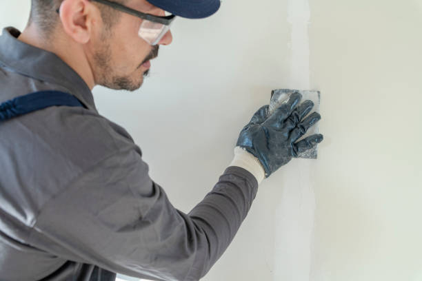 Best Mold Damage Restoration  in Limestone, IL