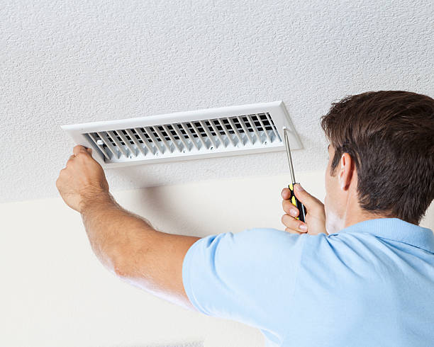 Best Asbestos and Lead Testing During Mold Inspection  in Limestone, IL