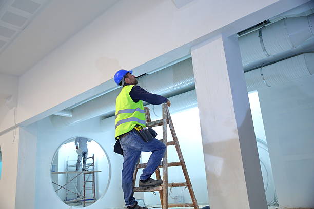 Best Air Quality Testing for Mold Spores  in Limestone, IL